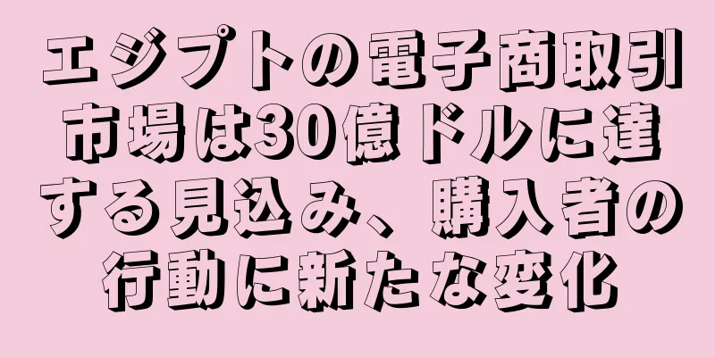 エジプトの電子商取引市場は30億ドルに達する見込み、購入者の行動に新たな変化