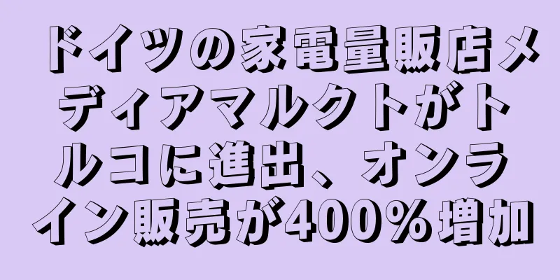 ドイツの家電量販店メディアマルクトがトルコに進出、オンライン販売が400%増加