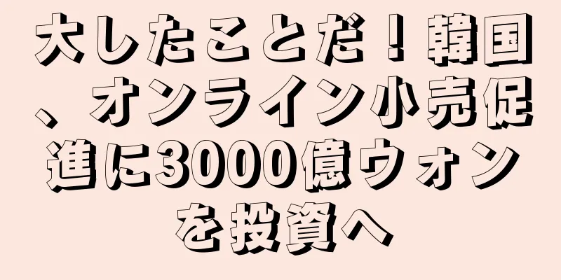 大したことだ！韓国、オンライン小売促進に3000億ウォンを投資へ