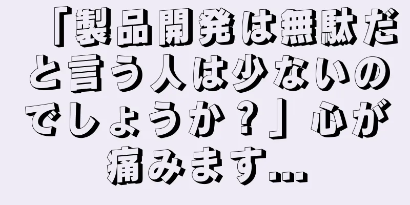 「製品開発は無駄だと言う人は少ないのでしょうか？」心が痛みます...