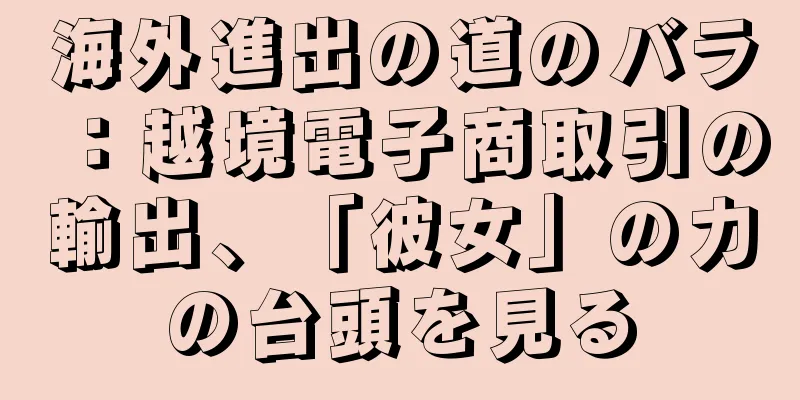 海外進出の道のバラ：越境電子商取引の輸出、「彼女」の力の台頭を見る