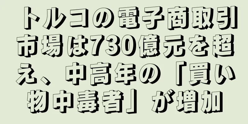 トルコの電子商取引市場は730億元を超え、中高年の「買い物中毒者」が増加