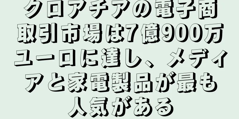 クロアチアの電子商取引市場は7億900万ユーロに達し、メディアと家電製品が最も人気がある