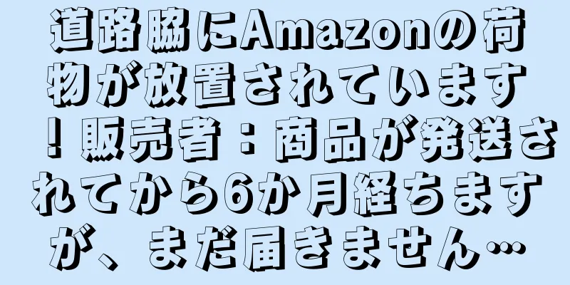 道路脇にAmazonの荷物が放置されています！販売者：商品が発送されてから6か月経ちますが、まだ届きません…