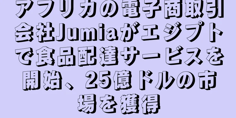 アフリカの電子商取引会社Jumiaがエジプトで食品配達サービスを開始、25億ドルの市場を獲得