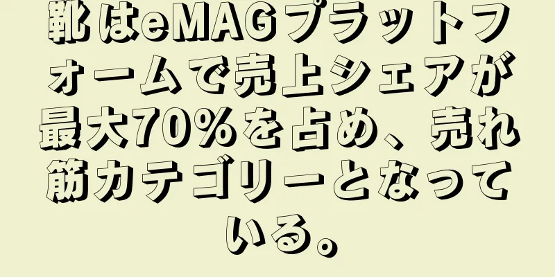靴はeMAGプラットフォームで売上シェアが最大70%を占め、売れ筋カテゴリーとなっている。