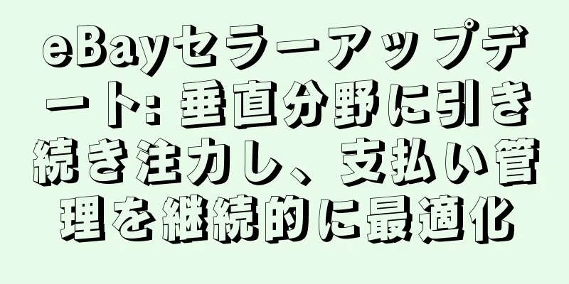 eBayセラーアップデート: 垂直分野に引き続き注力し、支払い管理を継続的に最適化