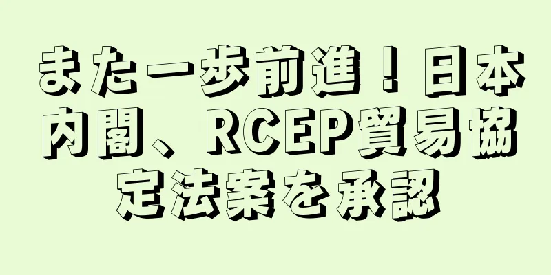 また一歩前進！日本内閣、RCEP貿易協定法案を承認
