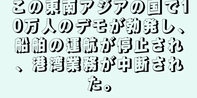 この東南アジアの国で10万人のデモが勃発し、船舶の運航が停止され、港湾業務が中断された。