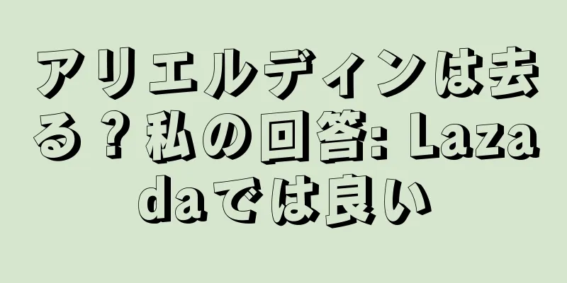 アリエルディンは去る？私の回答: Lazadaでは良い