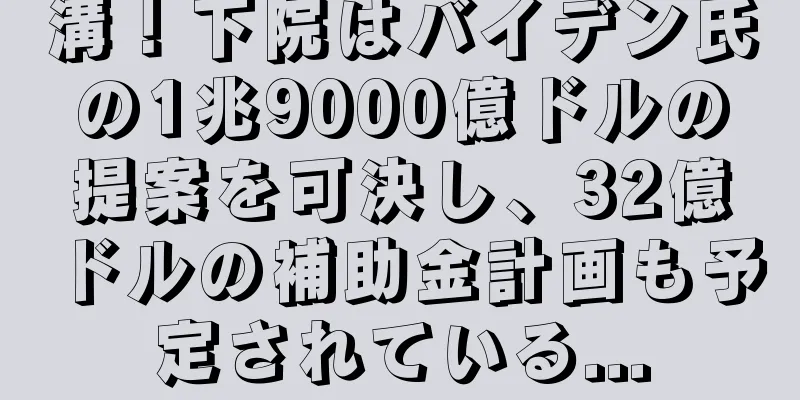 溝！下院はバイデン氏の1兆9000億ドルの提案を可決し、32億ドルの補助金計画も予定されている...