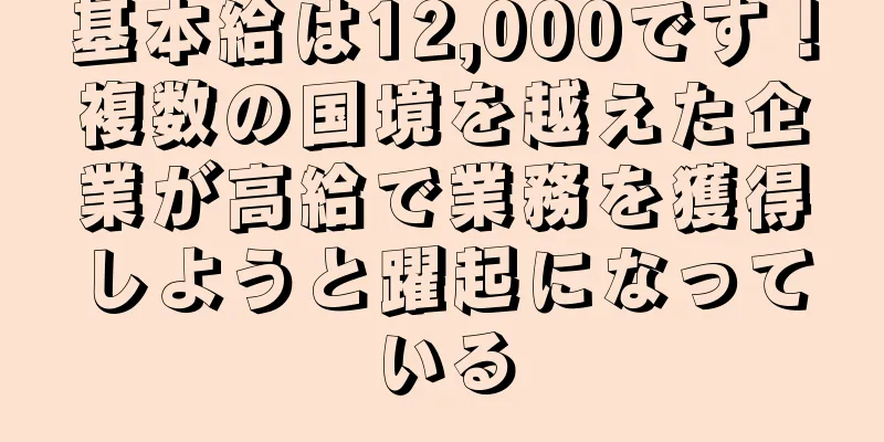 基本給は12,000です！複数の国境を越えた企業が高給で業務を獲得しようと躍起になっている