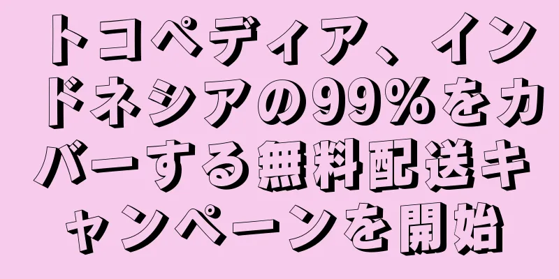 トコペディア、インドネシアの99%をカバーする無料配送キャンペーンを開始