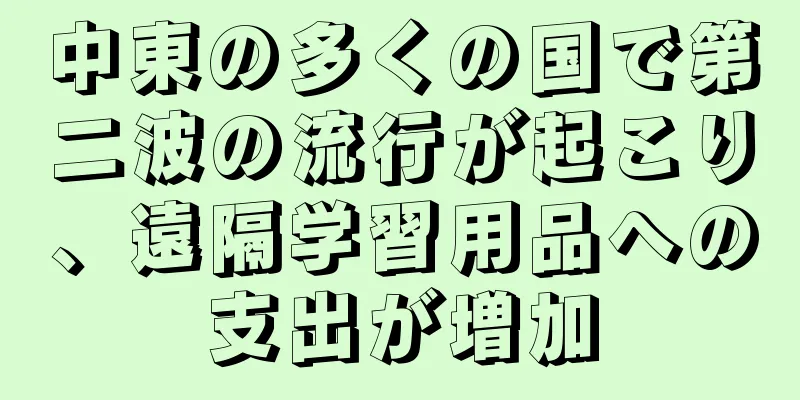 中東の多くの国で第二波の流行が起こり、遠隔学習用品への支出が増加