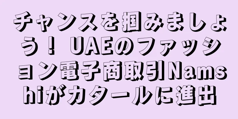 チャンスを掴みましょう！ UAEのファッション電子商取引Namshiがカタールに進出