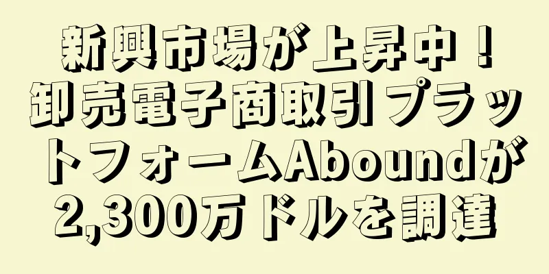 新興市場が上昇中！卸売電子商取引プラットフォームAboundが2,300万ドルを調達