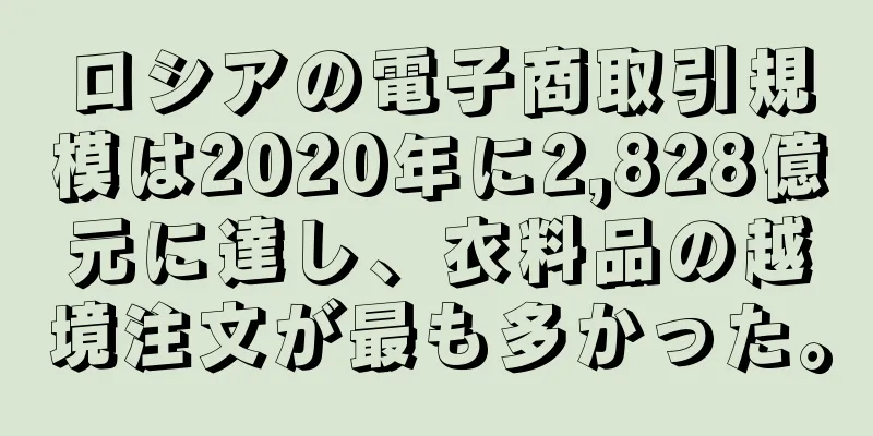 ロシアの電子商取引規模は2020年に2,828億元に達し、衣料品の越境注文が最も多かった。
