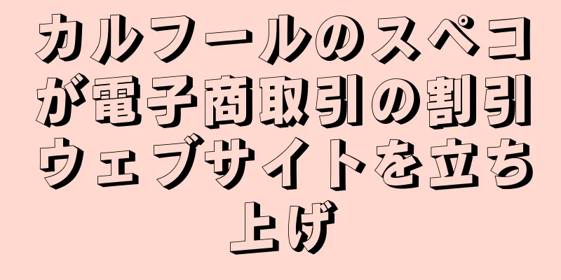 カルフールのスペコが電子商取引の割引ウェブサイトを立ち上げ