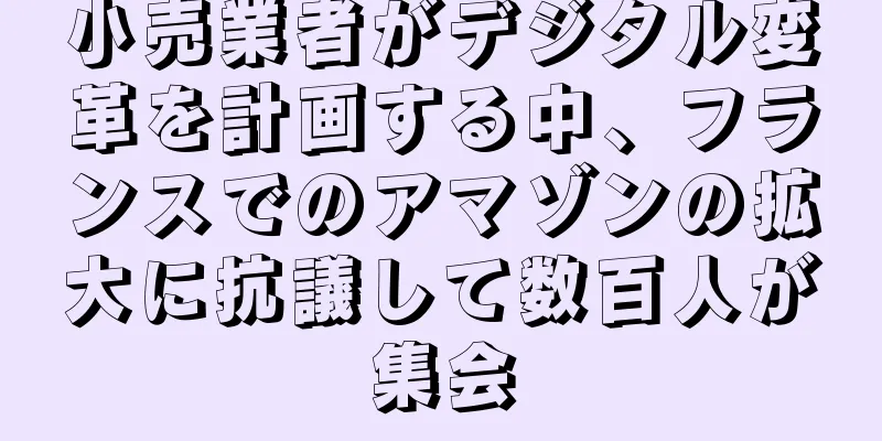 小売業者がデジタル変革を計画する中、フランスでのアマゾンの拡大に抗議して数百人が集会