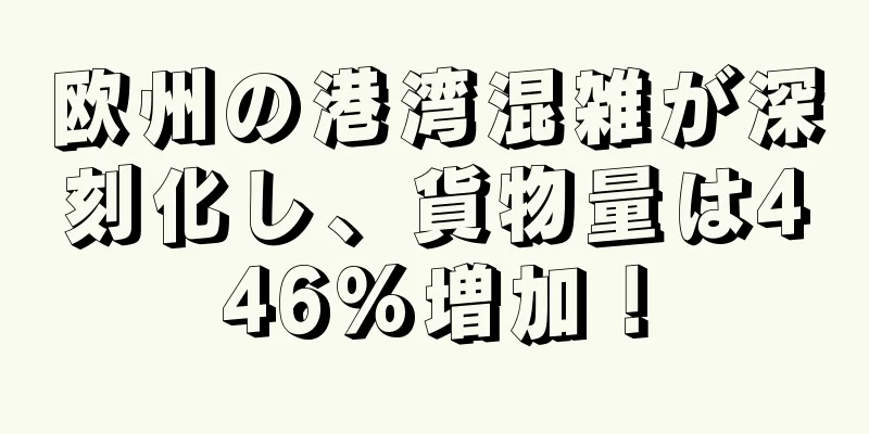 欧州の港湾混雑が深刻化し、貨物量は446%増加！